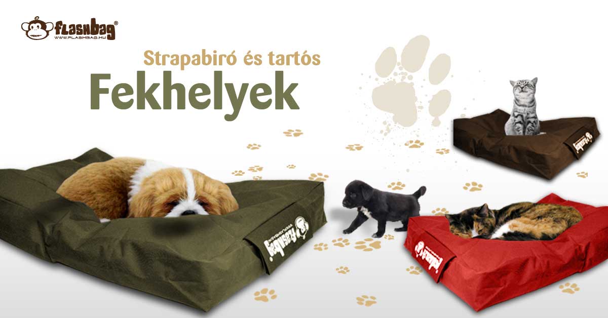 Flashbag kutyafekhely, kutyababzsák